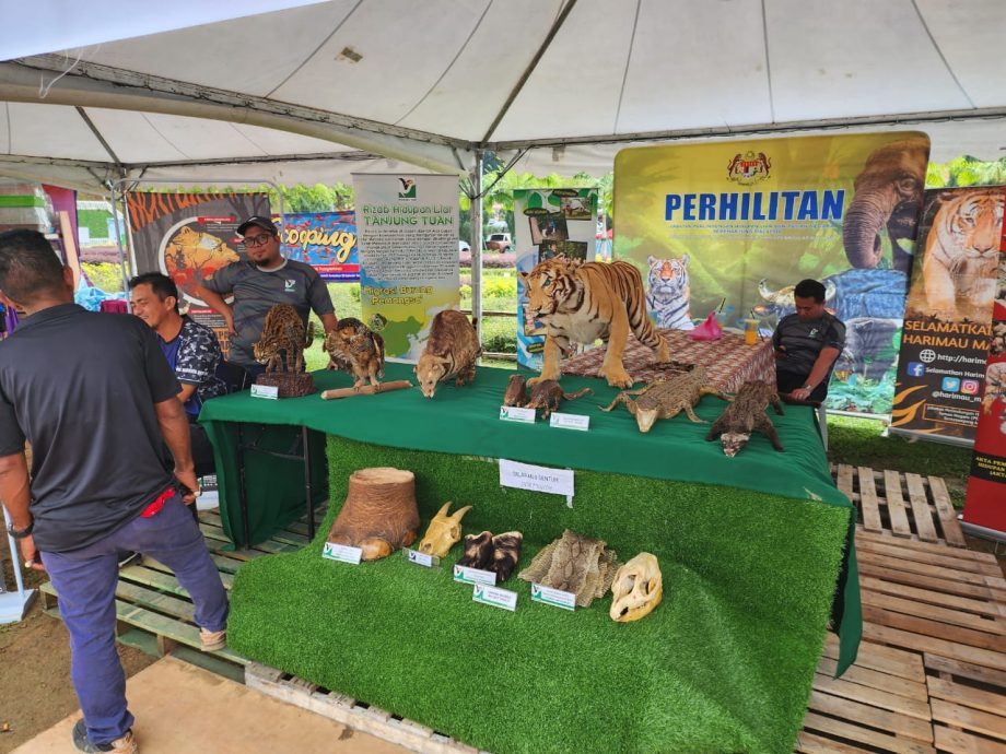 (古城封面主文)历史广场成为官方活动地点,市议会逐步美化及提升设施吸引更多人前往