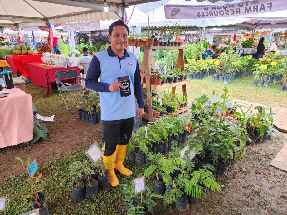 (古城封面主文)历史广场成为官方活动地点,市议会逐步美化及提升设施吸引更多人前往