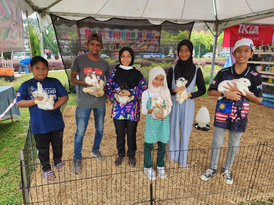 (古城封面主文)历史广场成为官方活动地点,市议会逐步美化及提升设施吸引更多人前往