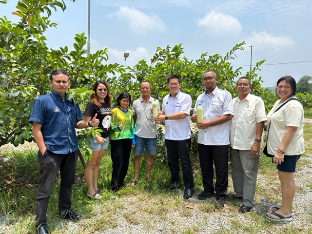 (古城第四版主文)林万锋协助番石榴果农向农业部申请农产品补助金