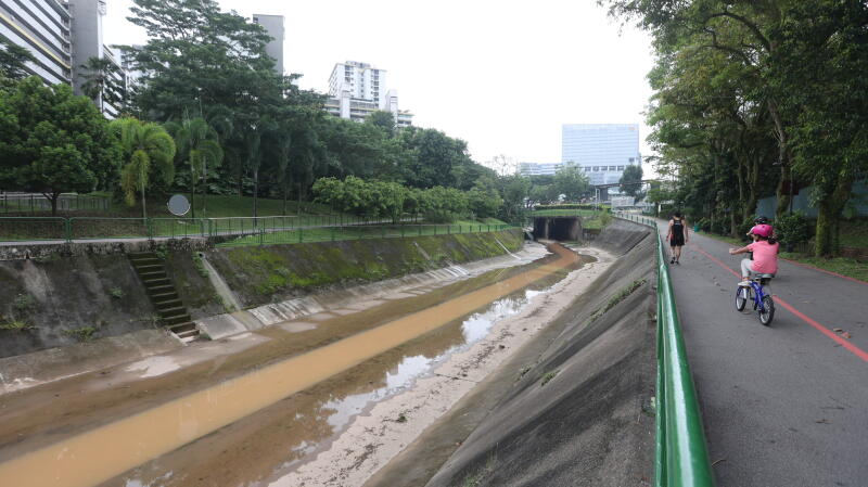 (已签发)柔:狮城二三事:超市扫货后沟渠放生逾30活鱼 狮城佛总:本地不适合放生