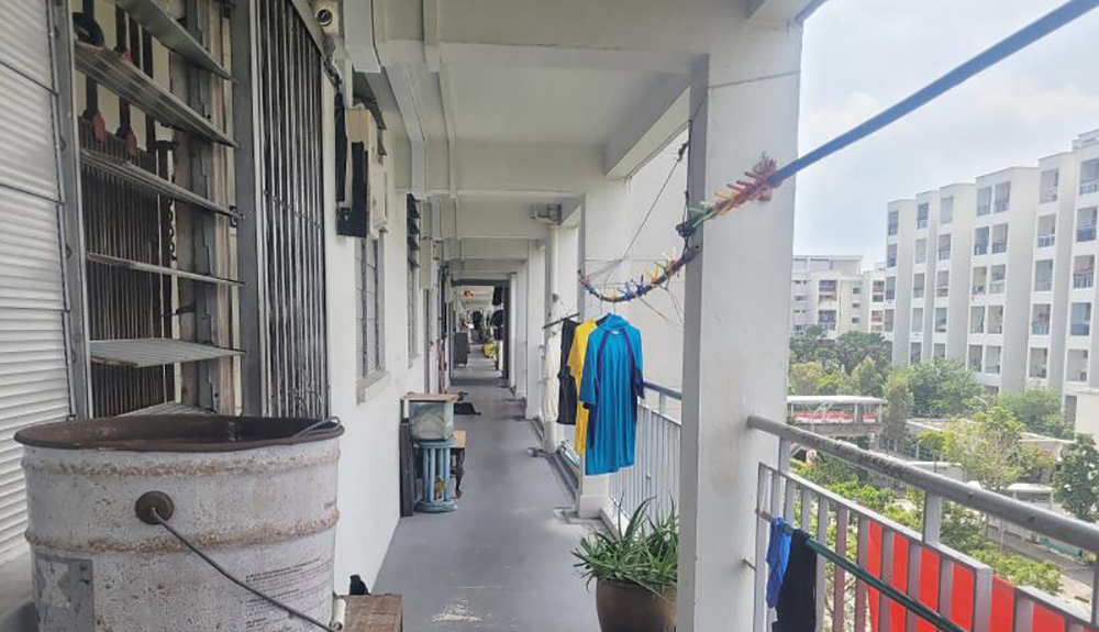 (已签发)柔:狮城二三事:女郎多次骚扰邻居三兄弟 报假案称遭非礼