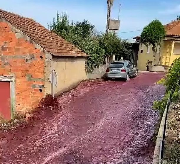 (视频)拼盘∕220万公升红酒倾泻成河 葡萄牙小镇街道被抹红