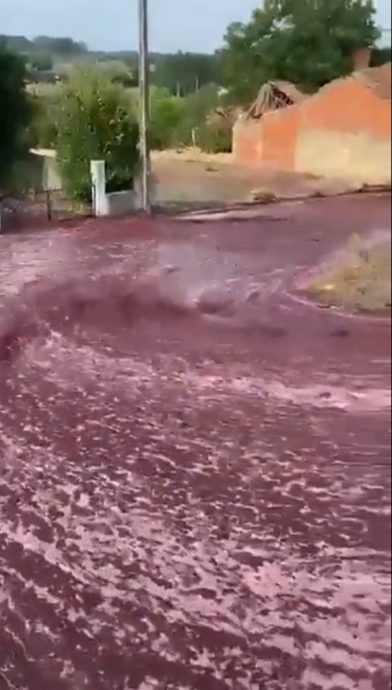 (视频)拼盘∕220万公升红酒倾泻成河 葡萄牙小镇街道被抹红