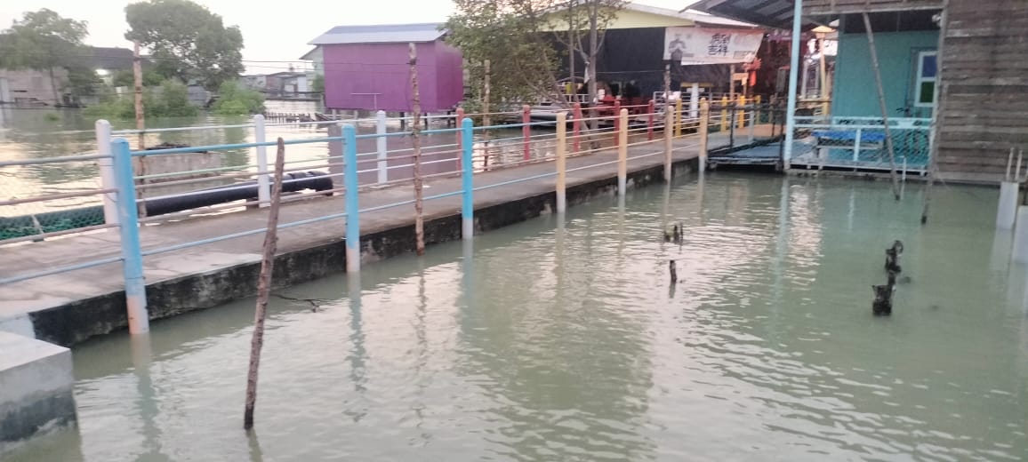 me3头//大都会/受超级月亮影响,雪滨海接连几天大涨潮!