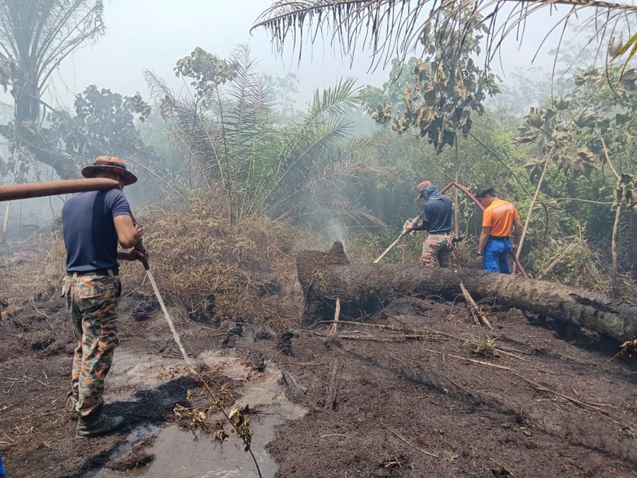 me3头//大都会/瓜雪泥炭地林火，吞噬24英亩林地！