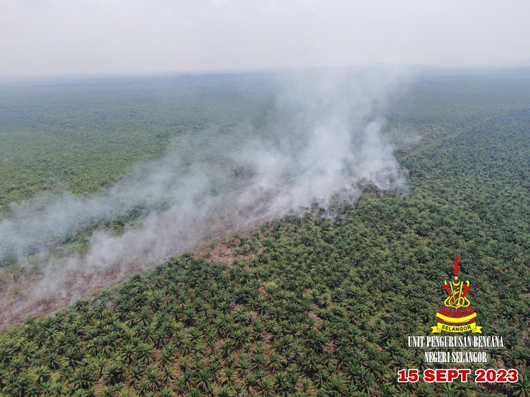 me3头//大都会/瓜雪泥炭地林火，吞噬24英亩林地！