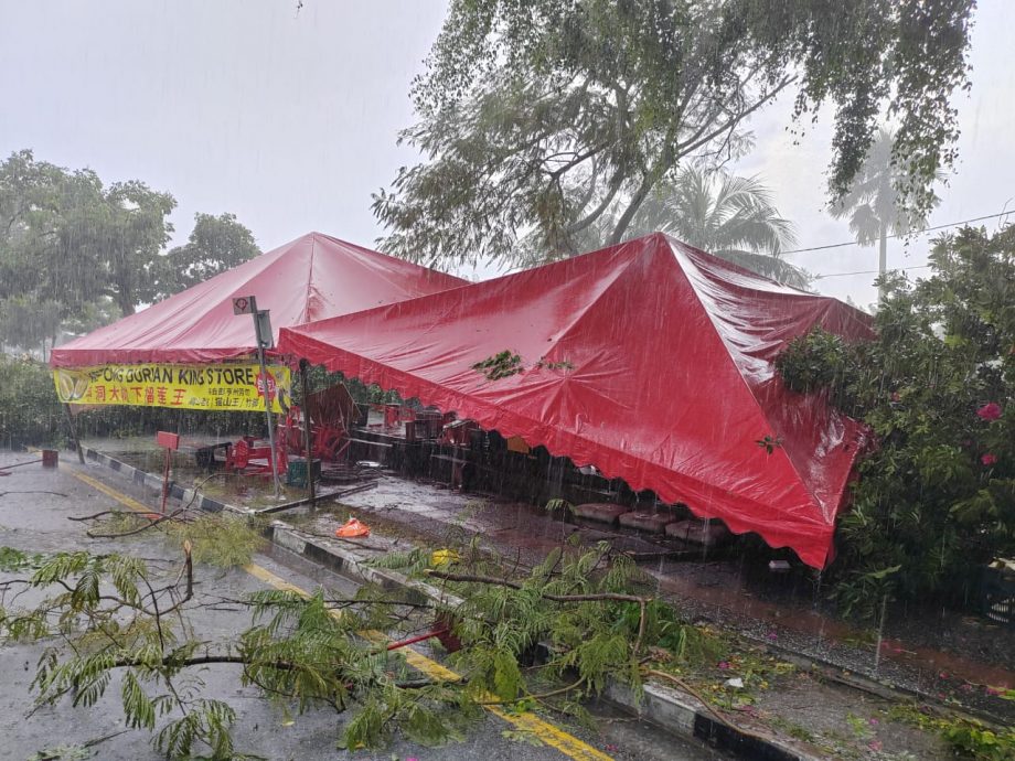 mz04-大都会/甲洞泗岩沫豪雨导致树倒屋顶飞／多图