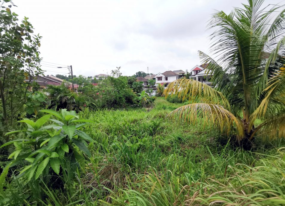 NS主文/又是荒废屋和私人地问题,居民感叹:解决遥遥无期