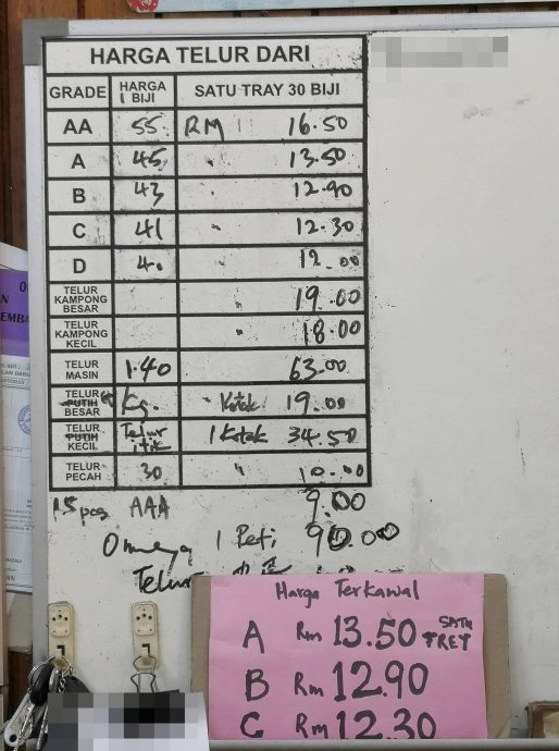 NS芙蓉/又缺蛋了,业者预测问题持续至明年