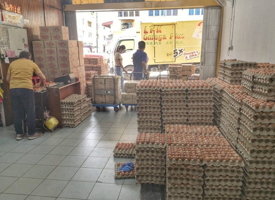 NS芙蓉/又缺蛋了,业者预测问题持续至明年