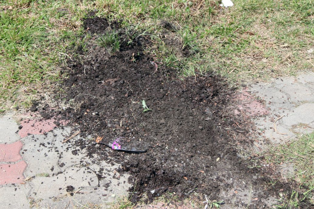 NS芙蓉:拉杭新村村口逢雨必灾;刘秋兴徒手疏通排水口