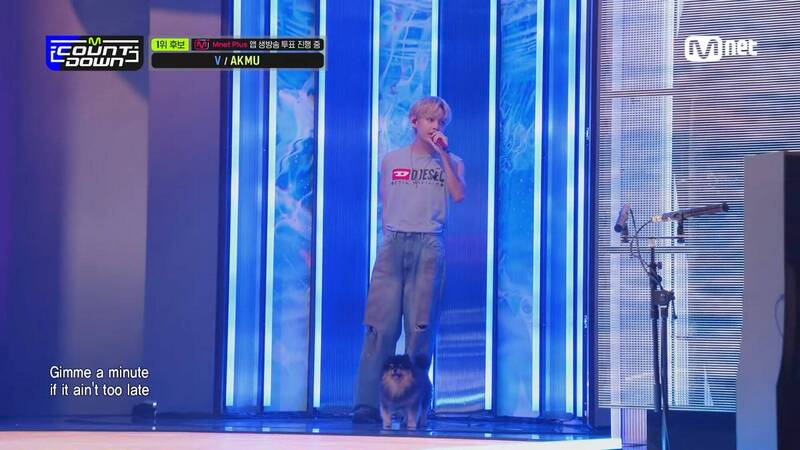 V@BTS携爱犬打歌 专辑超越Jimin创纪录