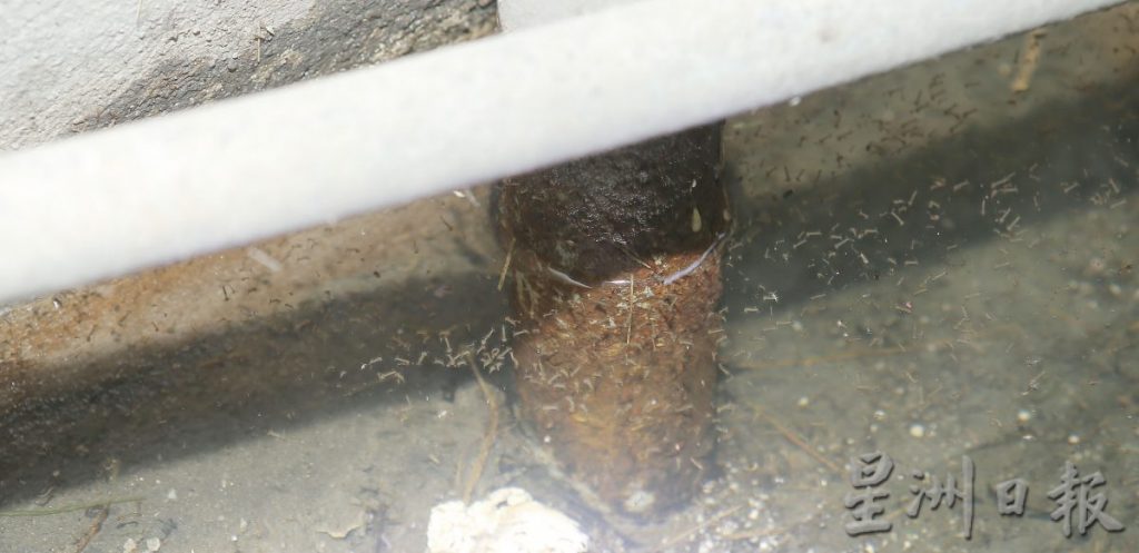 35天13人确诊 怡白兰园成骨痛热症热点