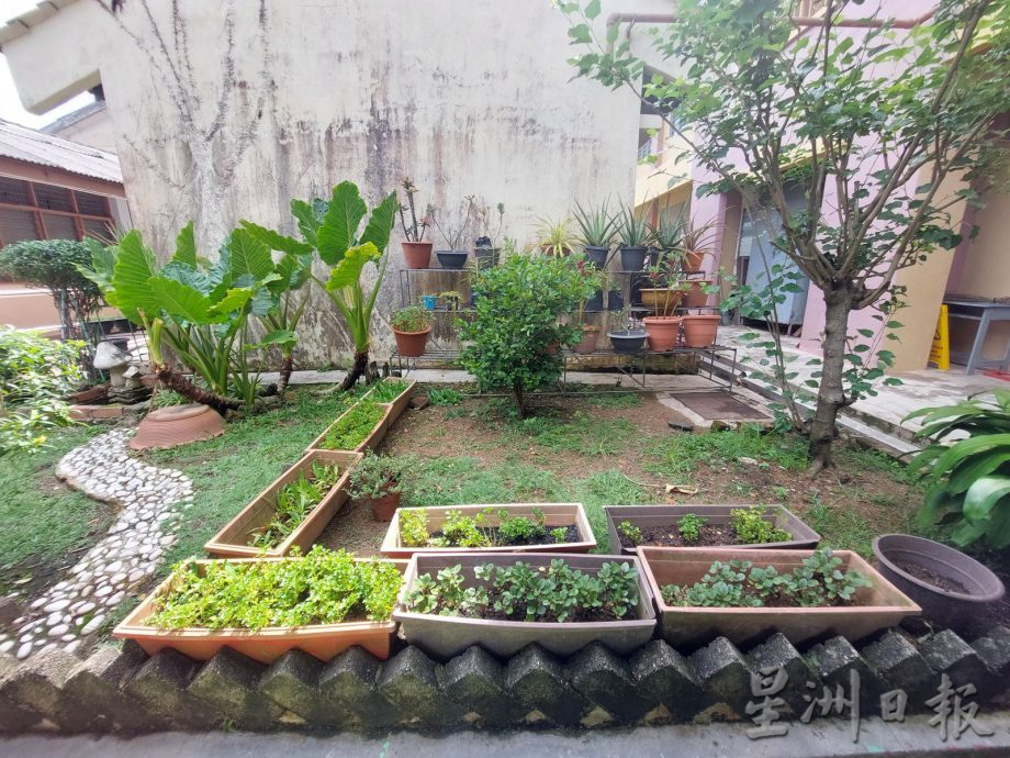 沈慕羽教师奖∕育英华小