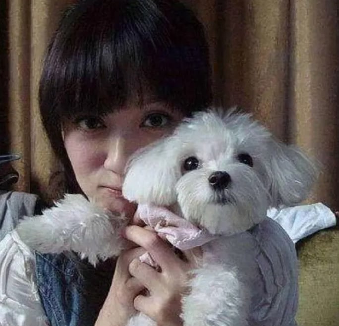 “纪宝贝”16岁过世　《命中注定》导演：是喜丧