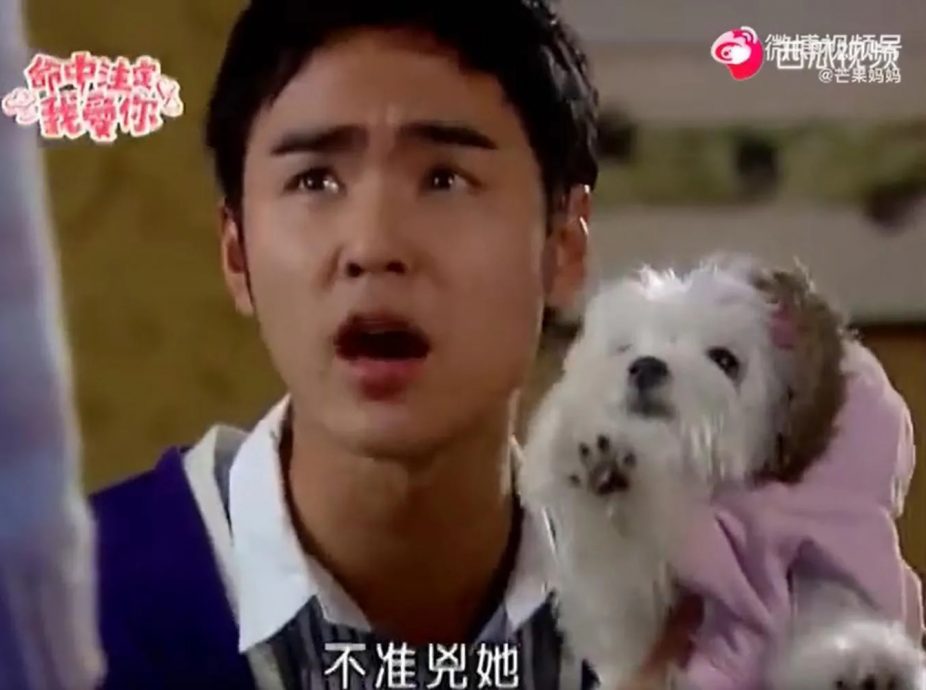 “纪宝贝”16岁过世　《命中注定》导演：是喜丧