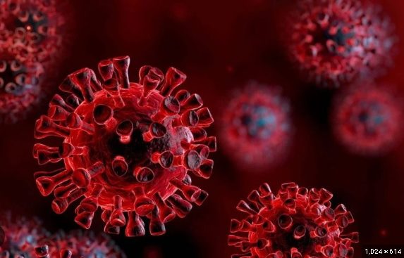 “X疾病”可通过动物传予人类 卫生总监:或像埃博拉病毒危及性命