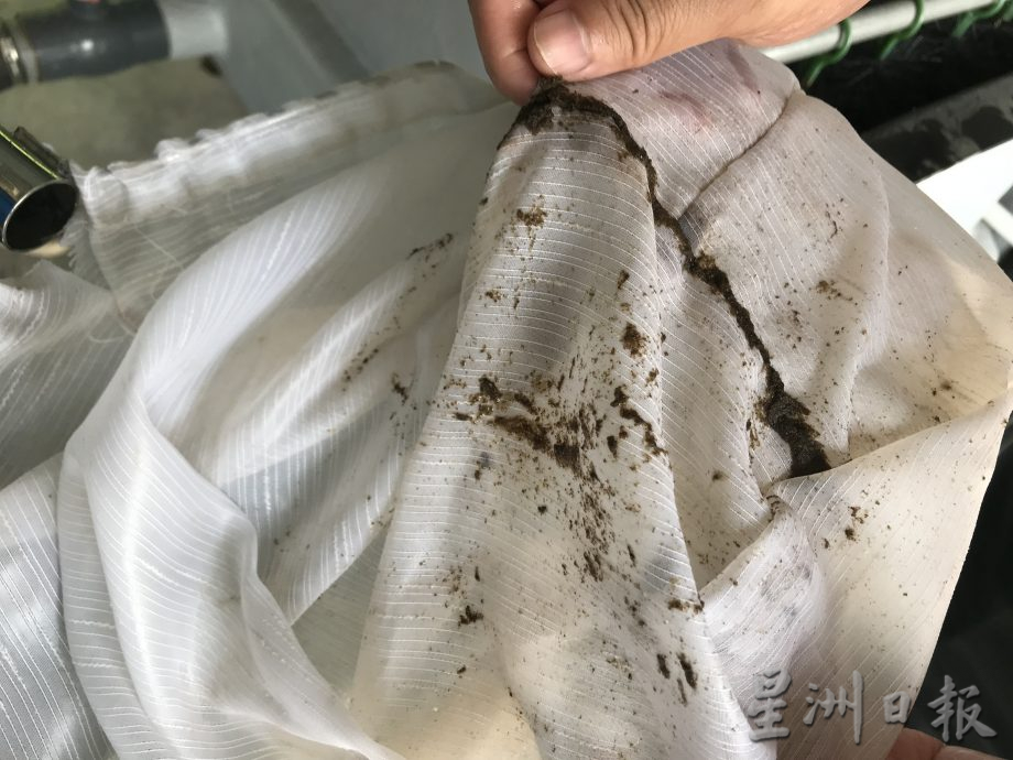 ★10月16日刊登／【农的传人】大霹雳封底主文／／崇华独中培养学生兴趣 可朝水产养殖前进