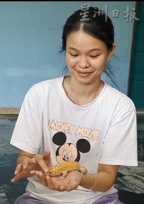 ★10月7日刊登/大霹雳封底主文/已签/【我的萌宠】/貌似壁虎的豹纹守宫 宠物界新宠