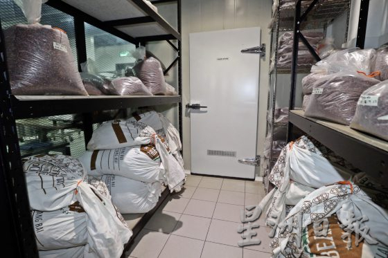 【可可商机/01】单一原产地可可豆──马来西亚巧克力独特风味的密码