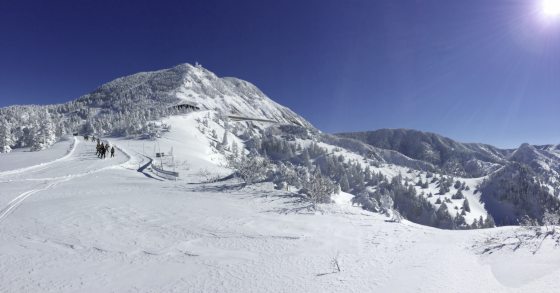 【日本】相约在冬季，体验日本唯美雪景