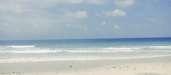 【马来西亚‧沙巴】沙巴古达，新晋打卡秘境