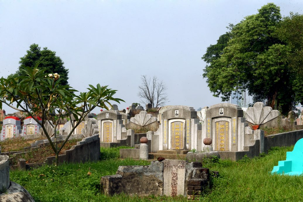 专题/下篇/从植存葬看，环保葬面对的挑战