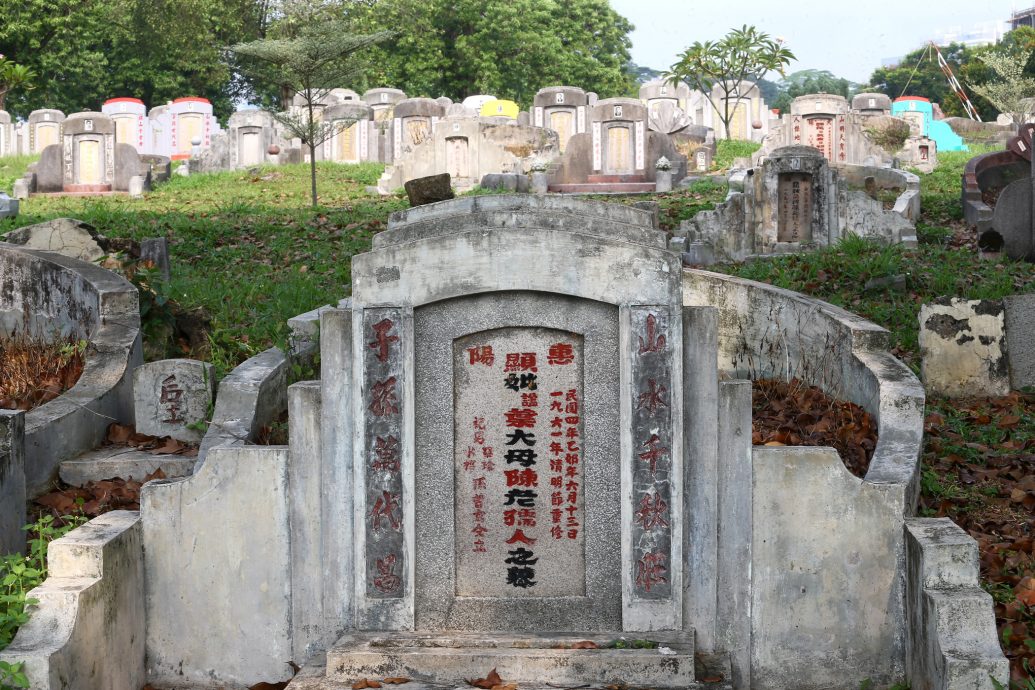 专题/下篇/从植存葬看，环保葬面对的挑战