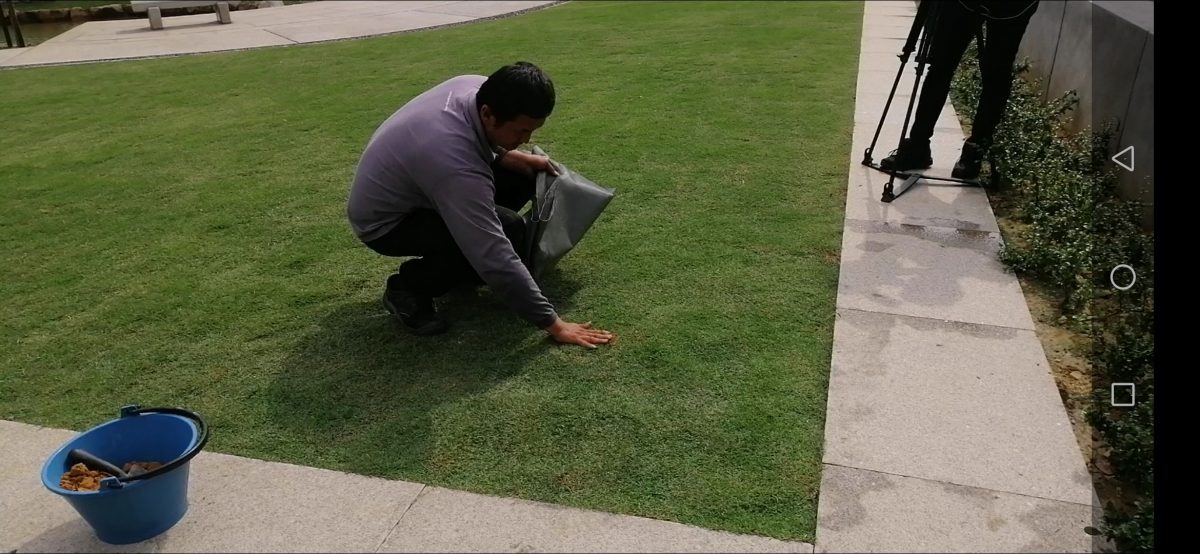 专题/下篇/从植存葬看，环保葬面对的挑战