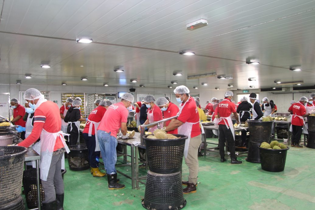 东：液氮短缺打乱阵脚，恒鲜食品公司临时调动150名员工日以继夜为50吨榴梿剖果取肉