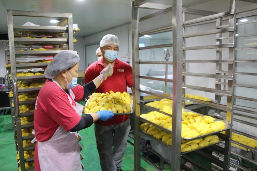 东:液氮短缺打乱阵脚,恒鲜食品公司临时调动150名员工日以继夜为50吨榴梿剖果取肉