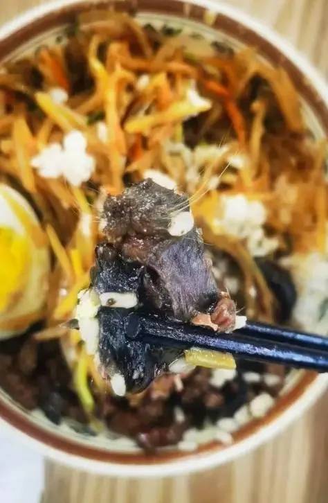 中再爆“指鼠为牛” 大学食堂饭菜疑现老鼠头 店说是牛肉