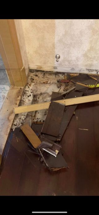 住33楼墙面漏水发霉 百万公寓“生菇”屋主震惊
