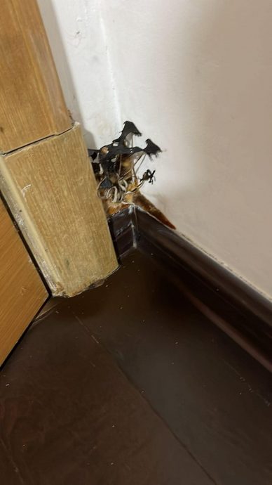 住33楼墙面漏水发霉 百万公寓“生菇”屋主震惊