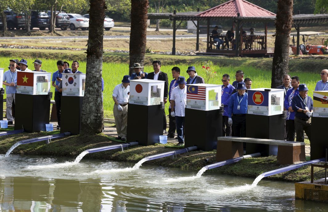 全国/莫哈末沙布:东盟农林部长会议着重粮食安全课题