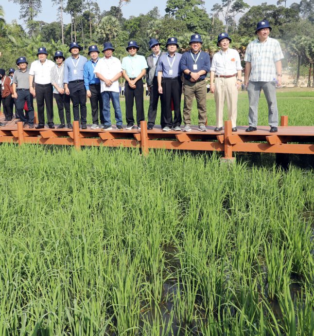 全国/莫哈末沙布:东盟农林部长会议着重粮食安全课题