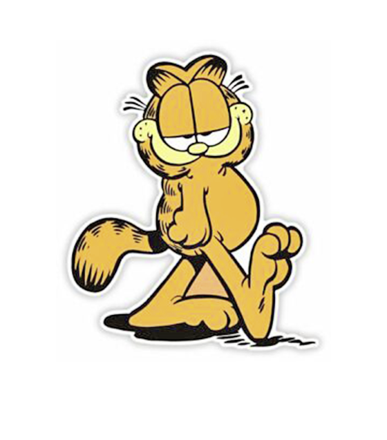全球最家喻户晓的猫咪——加菲猫（Garfield）