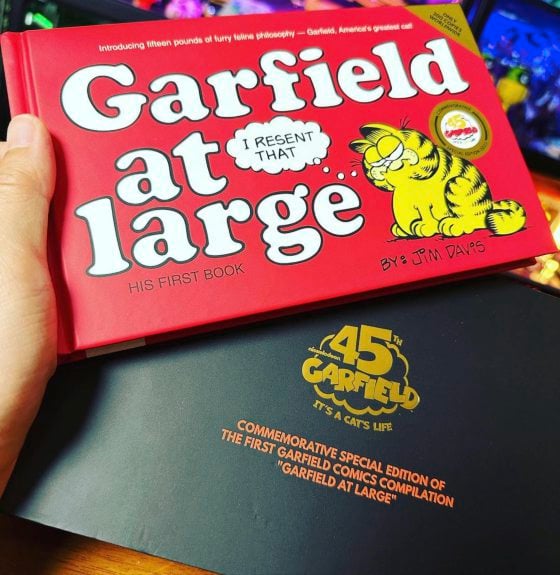 全球最家喻户晓的猫咪——加菲猫（Garfield）