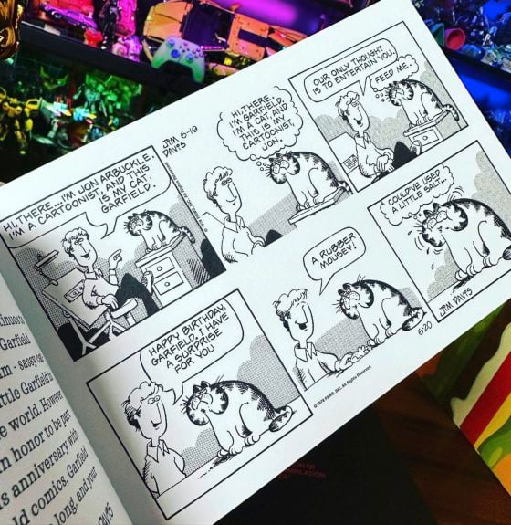 全球最家喻户晓的猫咪——加菲猫（Garfield）