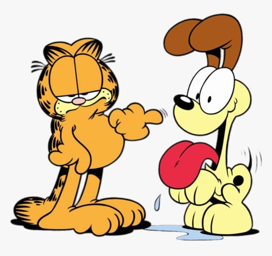 全球最家喻户晓的猫咪——加菲猫（Garfield）