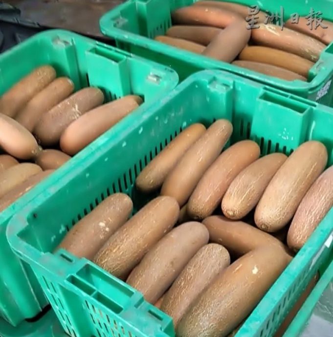 刘永顺：金马仑菜车如常运送 烟霾雨季蔬菜起价