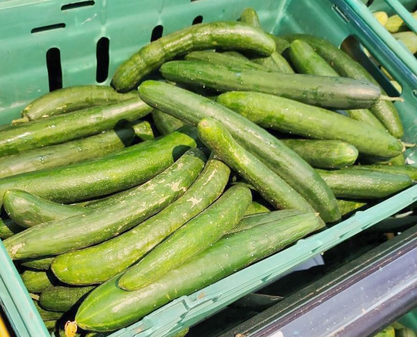 刘永顺：金马仑菜车如常运送 烟霾雨季蔬菜起价