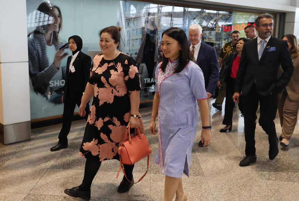 即日起国事访问4天·纽总督会晤元首安华