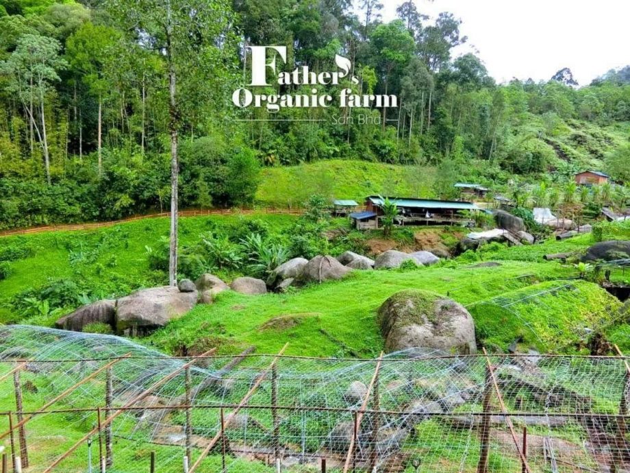  原拟营地建度假村 占地81.71公顷 有景观房、SPA及花园区