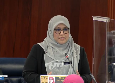 国会下周辩公账会LCS报告 公账会主席:开创历史