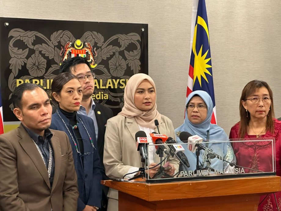 国会/雪芙拉：须严厉对付 反之类似言论重演