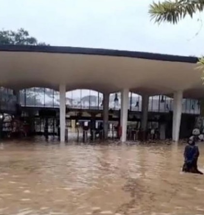 国家动物园惨变水园 “水豚被冲走 兴兴和靓靓安全”