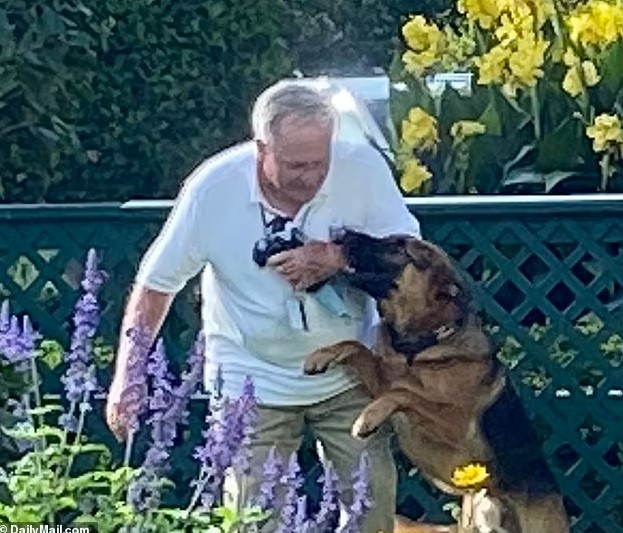 多次咬伤工作人员 拜登宠物犬被“逐出”白宫