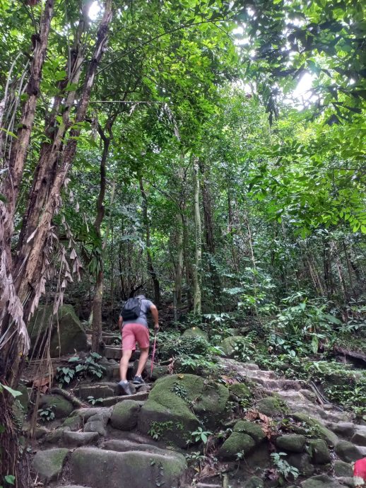 (大北马) 在山中/北笑山